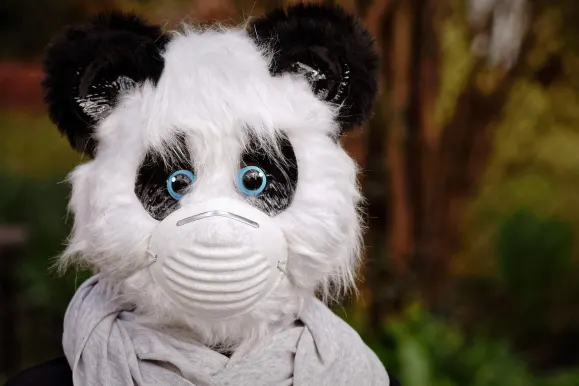 Bet9 Casino Kundeservice